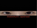Sutradara Do Eon-rok - Ulasan Sayatan Tangan Ganda