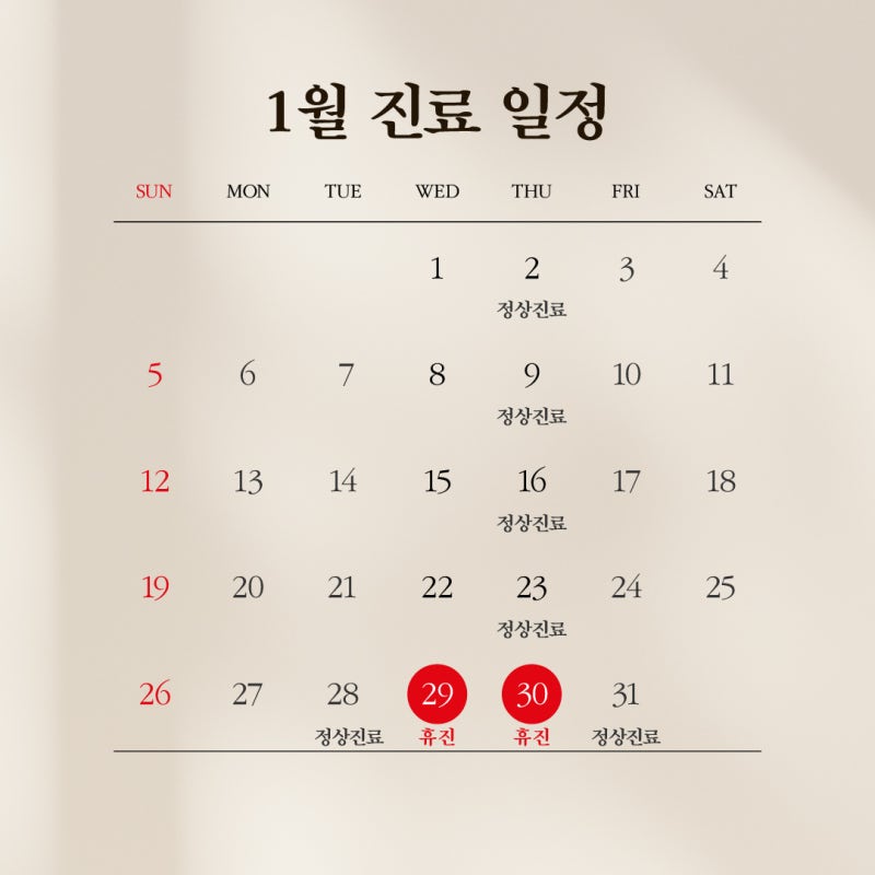 💚1mm Plastic Surgery Clinic: January 2025 Consultation Schedule💚 사진 2