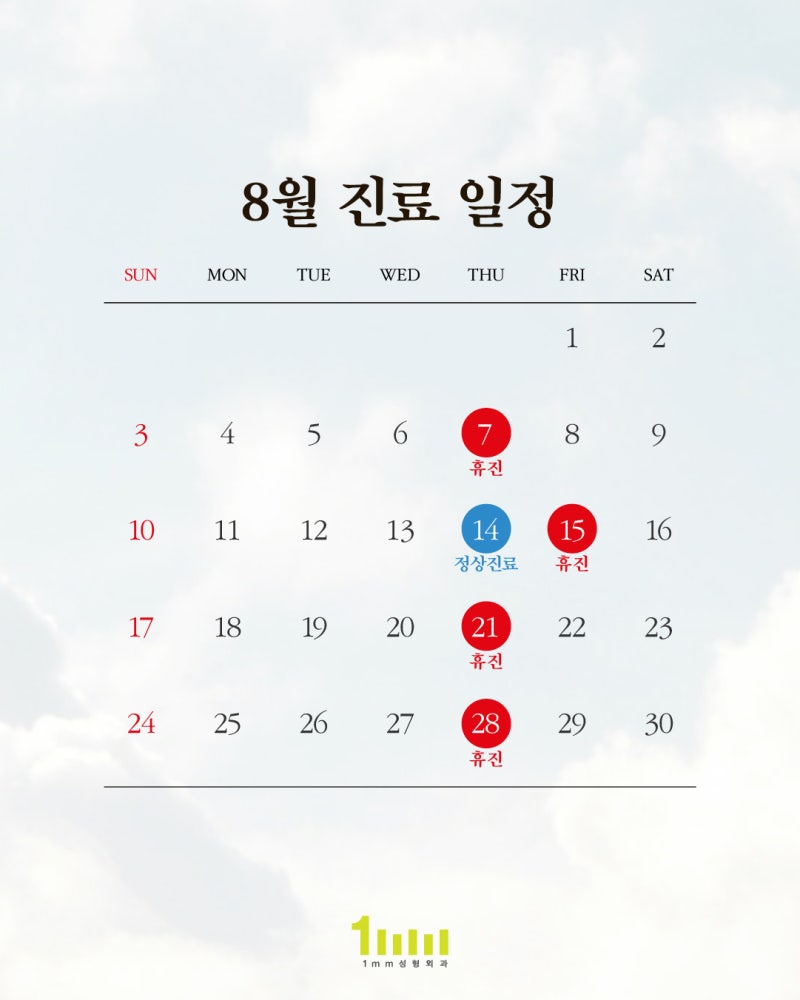 🌿1mm Plastic Surgery Clinic: August 2025 Consultation Schedule🌿 사진 2