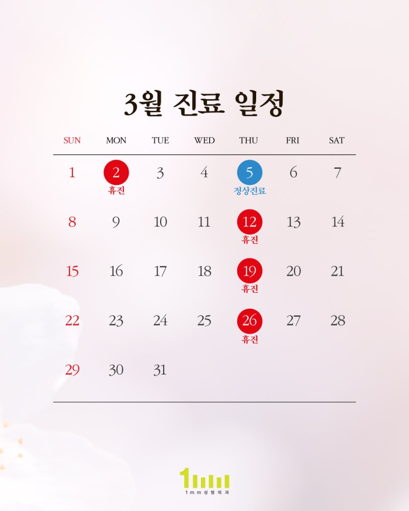 ✨1mm Plastic Surgery Clinic: March 2026 Consultation Schedule✨ 사진 2