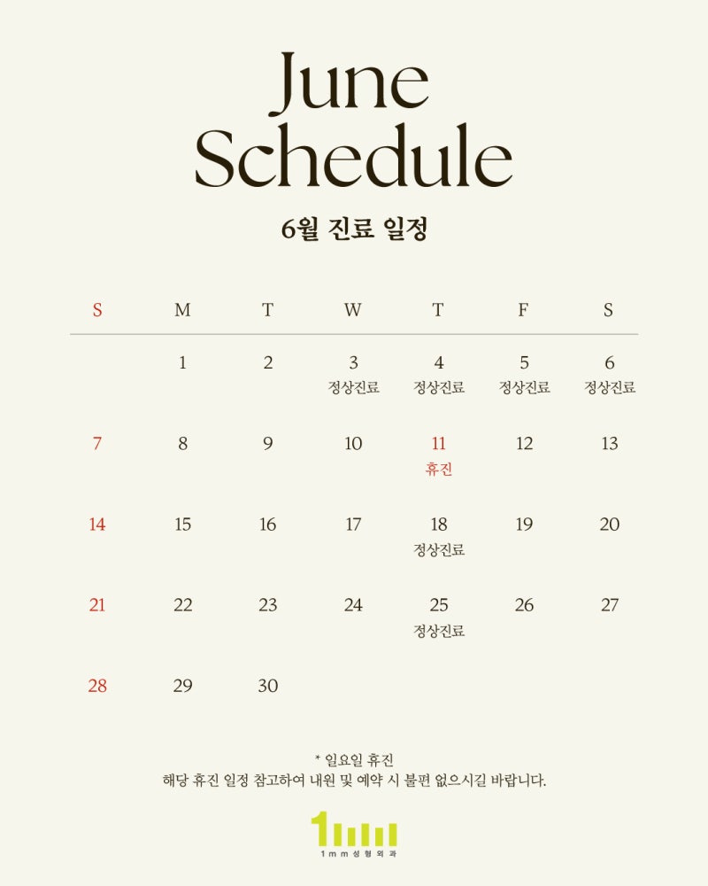🐳1mm Plastic Surgery Clinic: June 2026 Consultation Schedule🐳