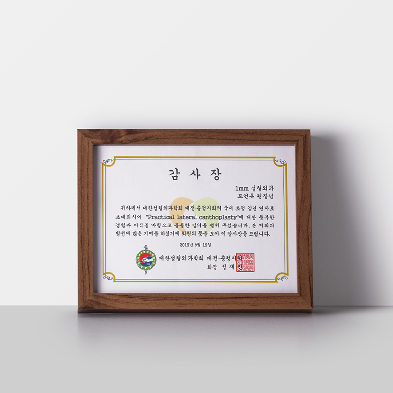 1mm Plastic Surgery's Dr. Do Eon-rok Invited to Lecture at The Korean Society of Plastic and Reconstructive Surgeons 사진 